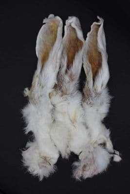 Rabbit Ear with Fur