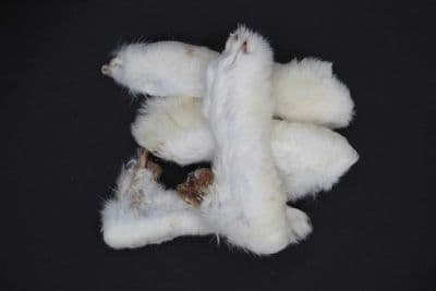Rabbit Feet with Fur