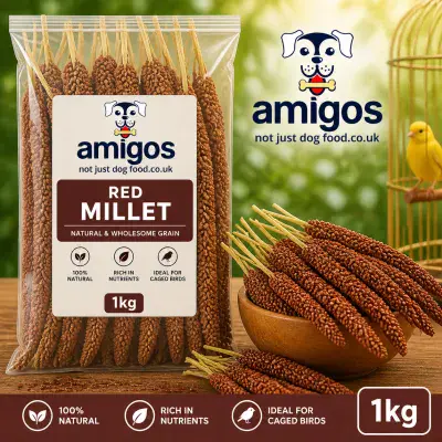 Red Millet