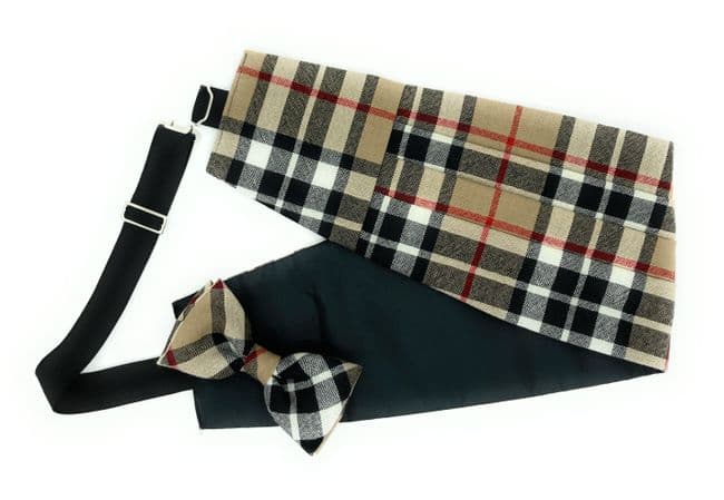 Gents Pure Wool Thomson Camel  Tartan Cummerbund & Bow Tie Set - Made in Scotland