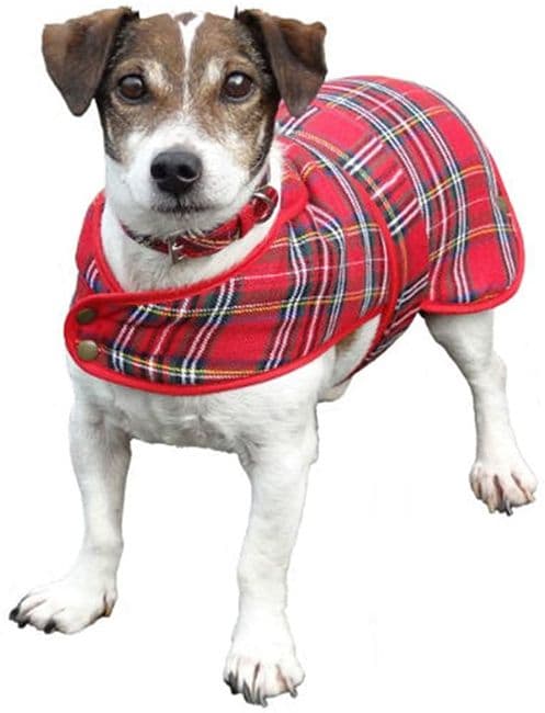 Royal Stewart Tartan Dog Coat