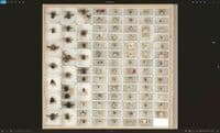 Museum Collections & Tray Scanner