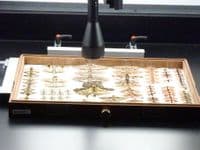 Museum Collections & Tray Scanner