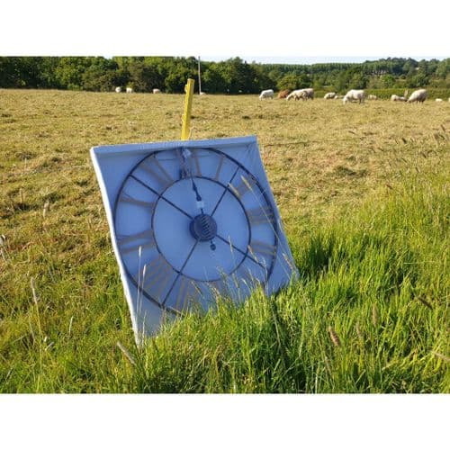Antique Brass Indoor/Outdoor Skeletal Wall Clock
