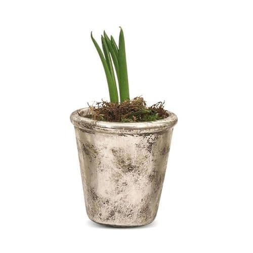 Birkdale Classic Pot in Silver Finish
