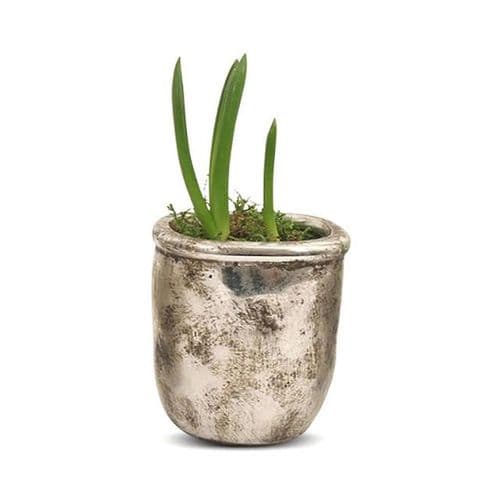 Birkdale Hammered Pot in Silver Finish