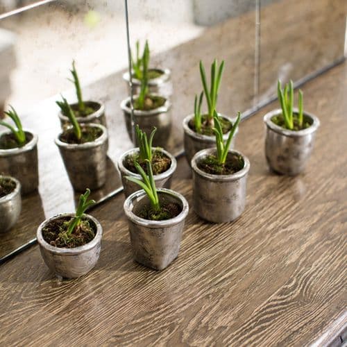 Birkdale Set of 6 Miniature Pots in Silver Finish