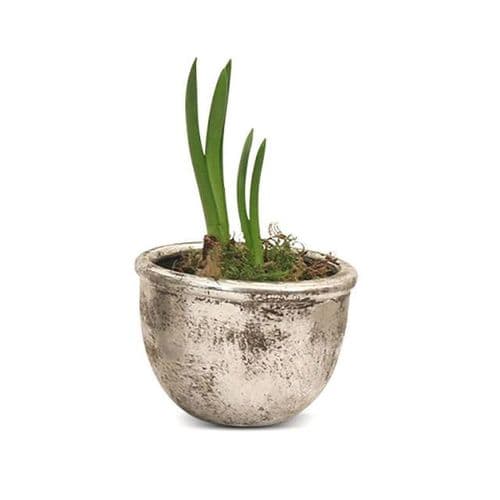 Birkdale Squat Pot in Silver Finish