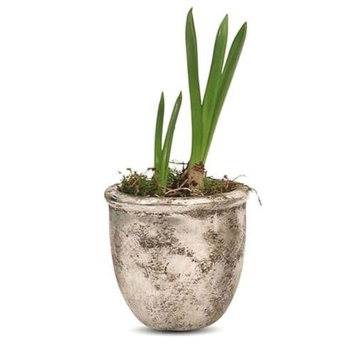 Birkdale Tapered Pot in Silver Finish