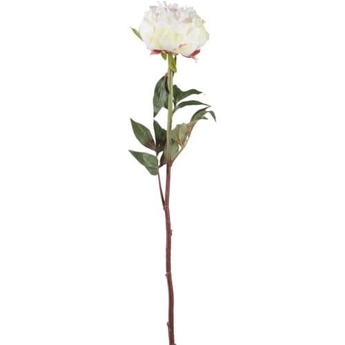 Faux White Peony Spray With Leaves 69cm
