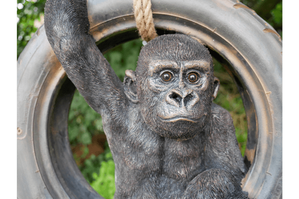 Gorilla On A Tyre Swing