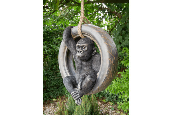 Gorilla On A Tyre Swing