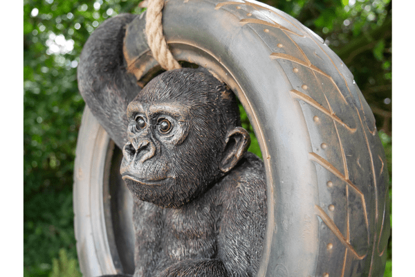 Gorilla On A Tyre Swing