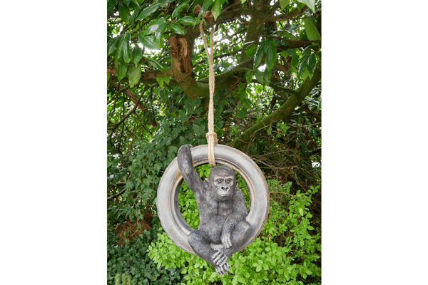 Gorilla On A Tyre Swing