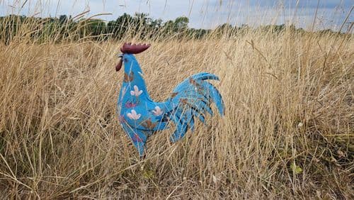 Painted Blue Cockerel