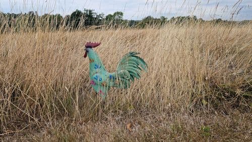 Painted Green Cockerel