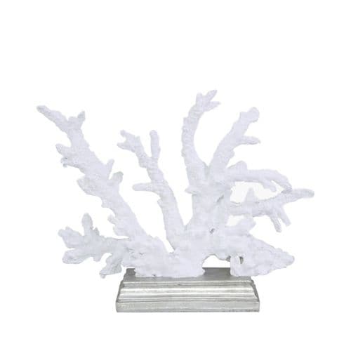 White Coral Decoration on Silver Stand