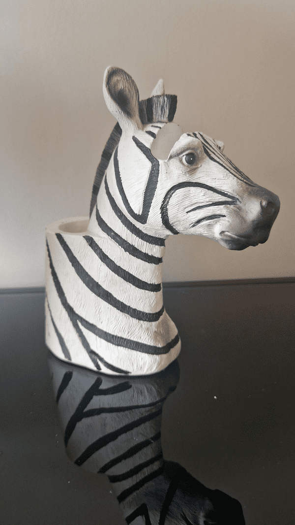 Zebra Desk Tidy