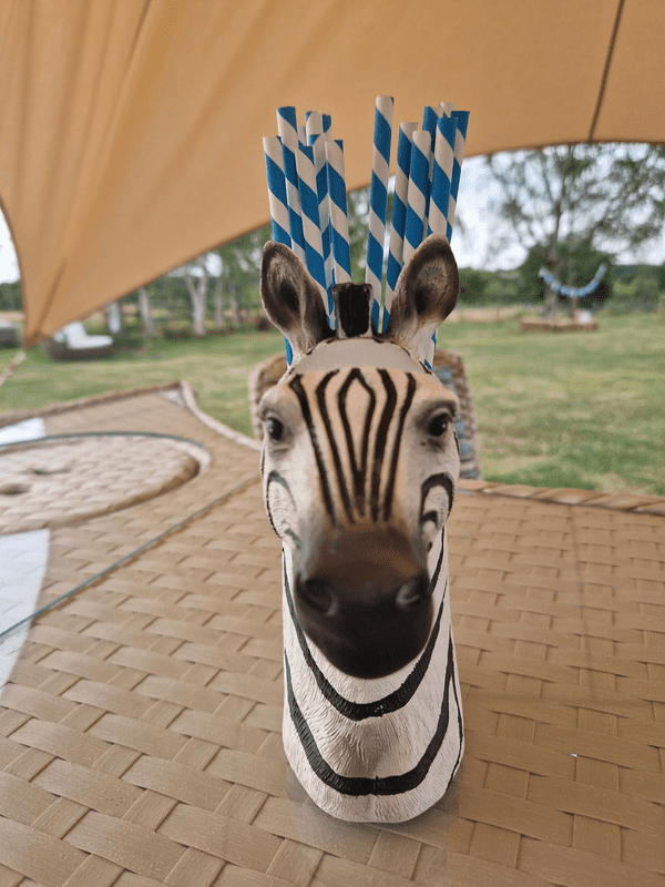 Zebra Desk Tidy