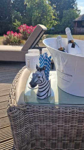 Zebra Desk Tidy