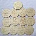 Baby Milestone set of 13 wooden discs
