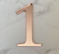 Number single acrylic or wood cake charm