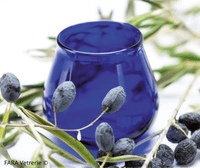 FARA Vetrerie - Single IOC Official Cobalt Blue Olive Oil Tasting Glass
