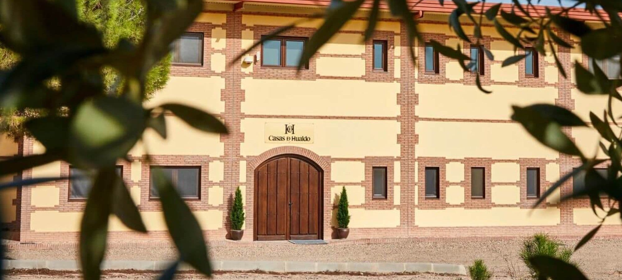 Top Quality Extra Virgin Olive Oil