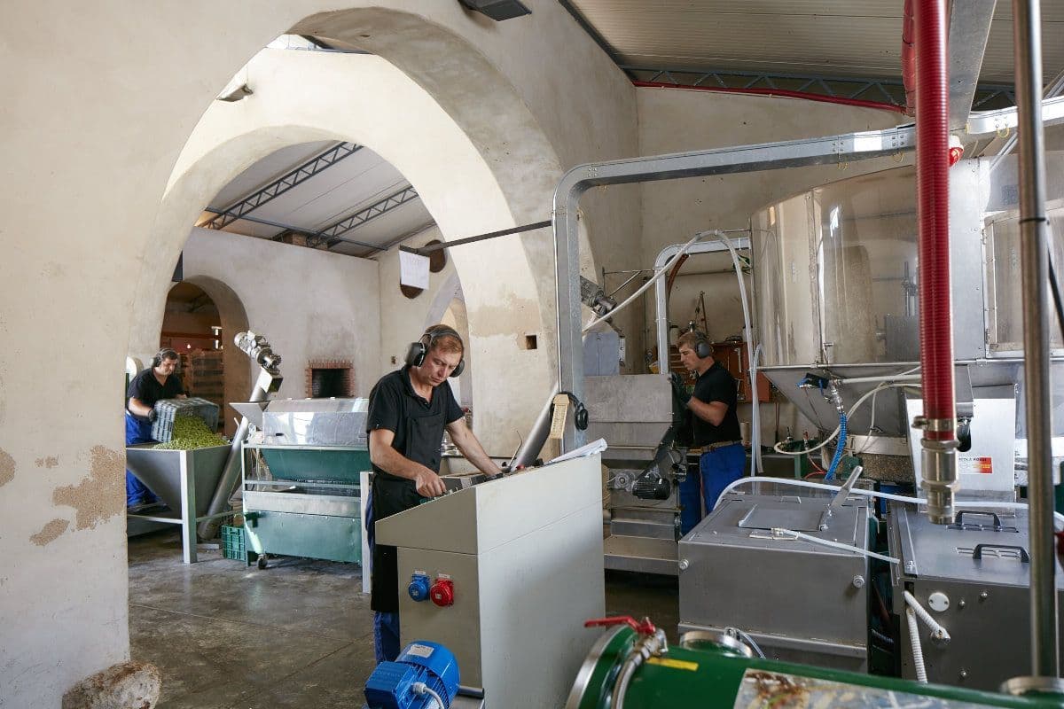 Top Quality Portuguese Olive Oil