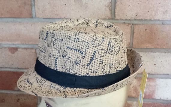 Boy's Dino Trilby Hat only £1.95