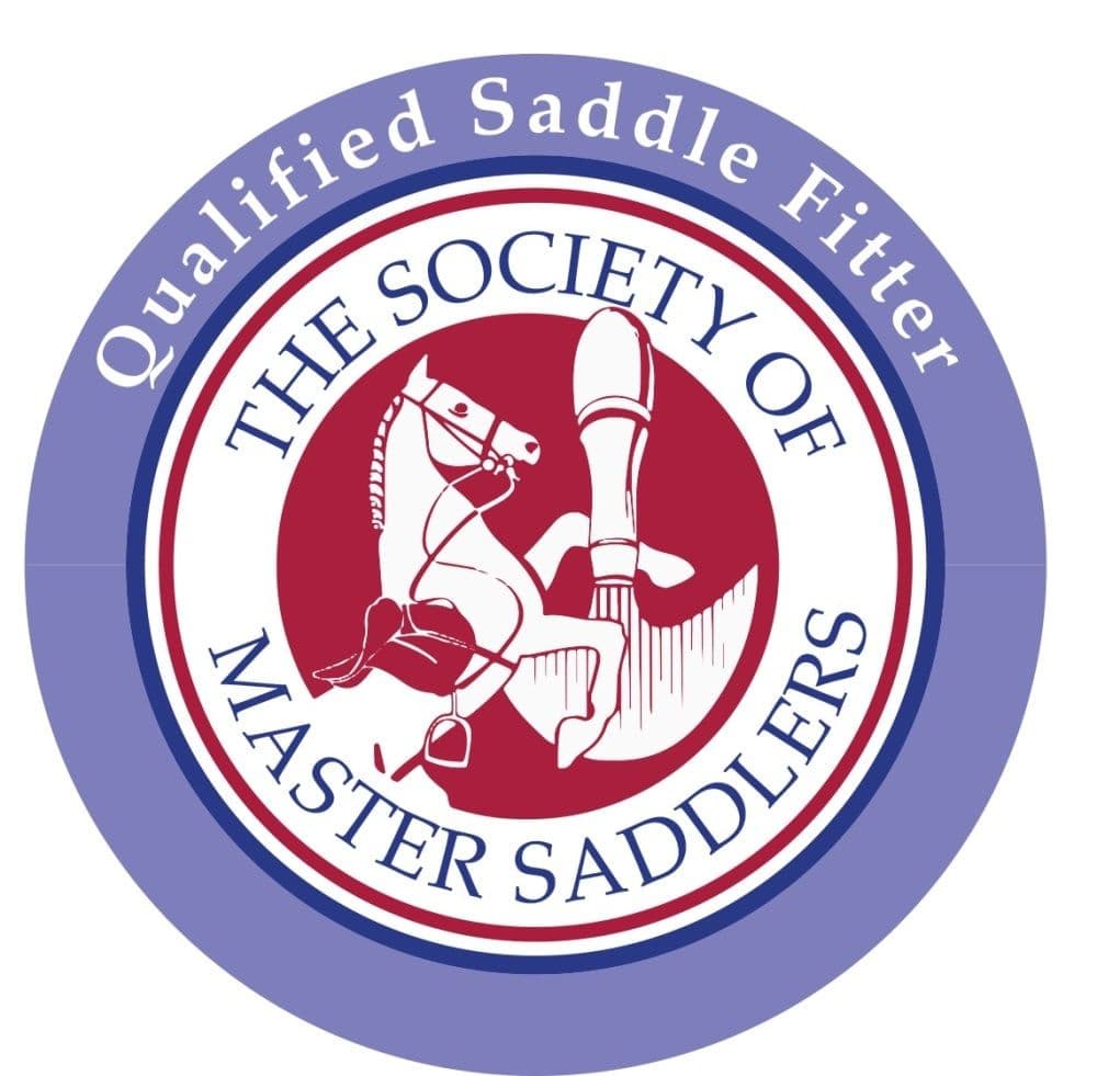Why should I get my horses saddle checked, and how often?