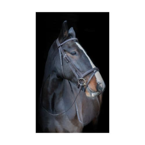Cameo Equine Anatomic Comfort Bridle With Sure Grip Reins - Saddlemasters