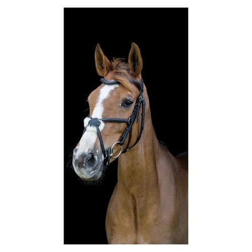 Cameo Equine Anatomic Grackle Bridle With Reins