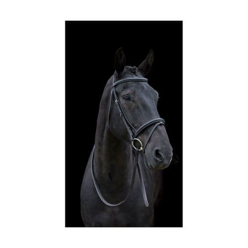 Cameo Equine Classic Padded Bridle with Reins