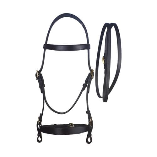 Cameo Equine In Hand Bridle and Lead