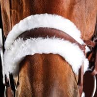Collegiate Comfitec Sheepskin Bridle - Saddlemasters