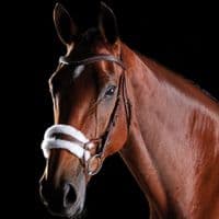 Collegiate Comfitec Sheepskin Bridle - Saddlemasters