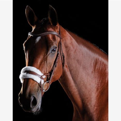 Collegiate Comfitec Sheepskin Bridle