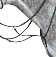 Collegiate Running Martingale Iv - Saddlemasters