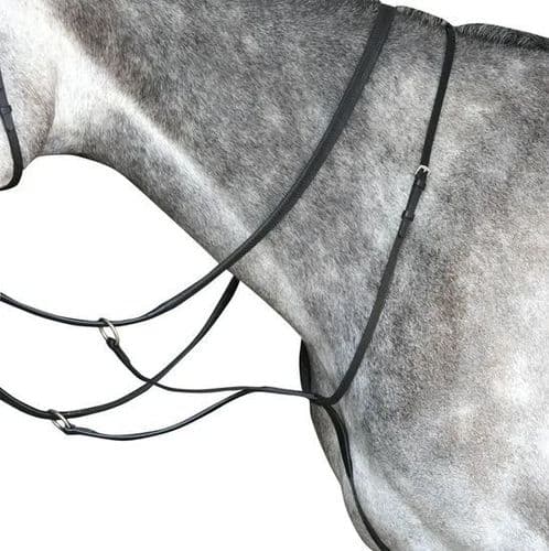 Collegiate Running Martingale Iv