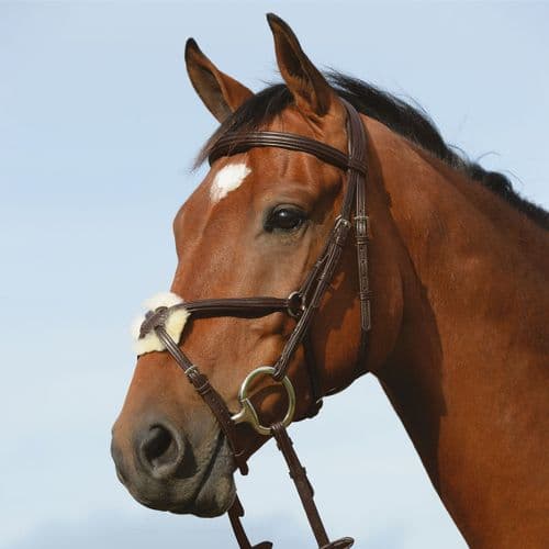 Collegiate Syntovia+ Padded Raised Figure 8 Bridle