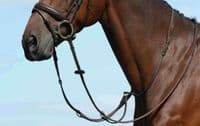 Collegiate Syntovia+ Plain Flat Running Martingale