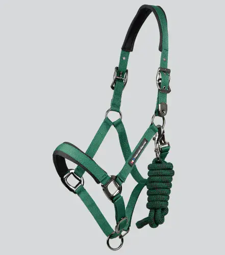 Corda Padded Head Collar with Lead Rope