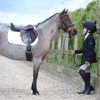 Dublin Casey Tailored Ladies Jacket - Saddlemasters