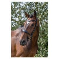 EcoRider Ecosoft Enigma Bridle - Saddlemasters