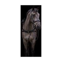 EcoRider Ecosoft Luxe Bridle - Saddlemasters