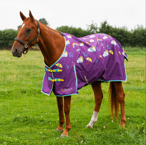 Gallop Trojan 50g Rain or Shine Turnout Rug
