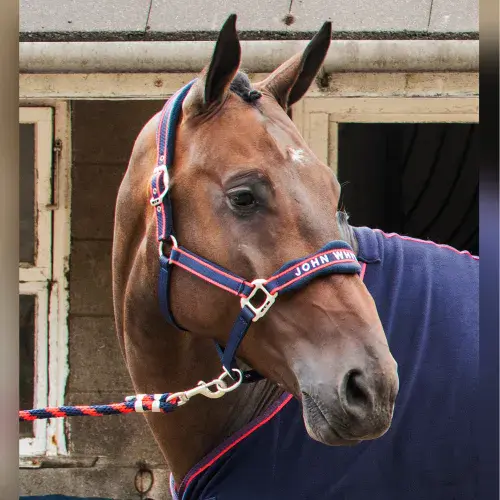 John Whitaker Airflow Head Collar with Leadrope Set