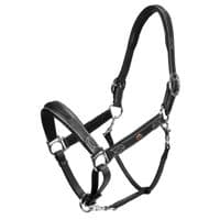 John Whitaker Chicago Perforated Leather Headcollar