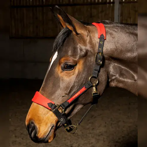 John Whitaker Harewood Headcollar